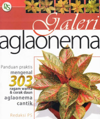 GALERI AGLAONEMA