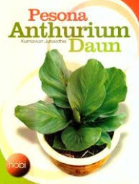 PESONA ANTHURIUM DAUN