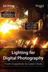Image of LIGHTING FOR DIGITAL PHOTOGRAPHY FROM SNAPSHOTS TO GREAT SHOTS